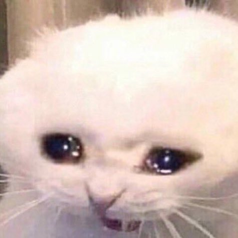 void 🔮 fic 📌 tweet media