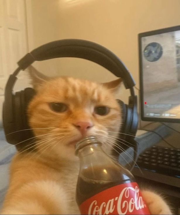 Prince Forex 🇬🇭 tweet media