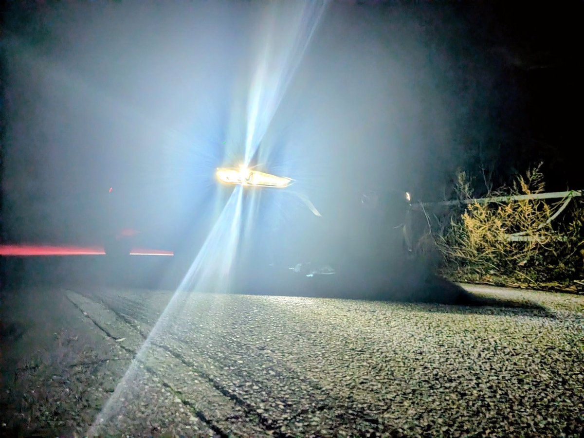 ○○もん🐌 tweet media