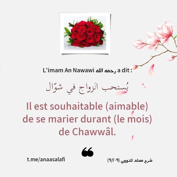 moussa_tawhid tweet media