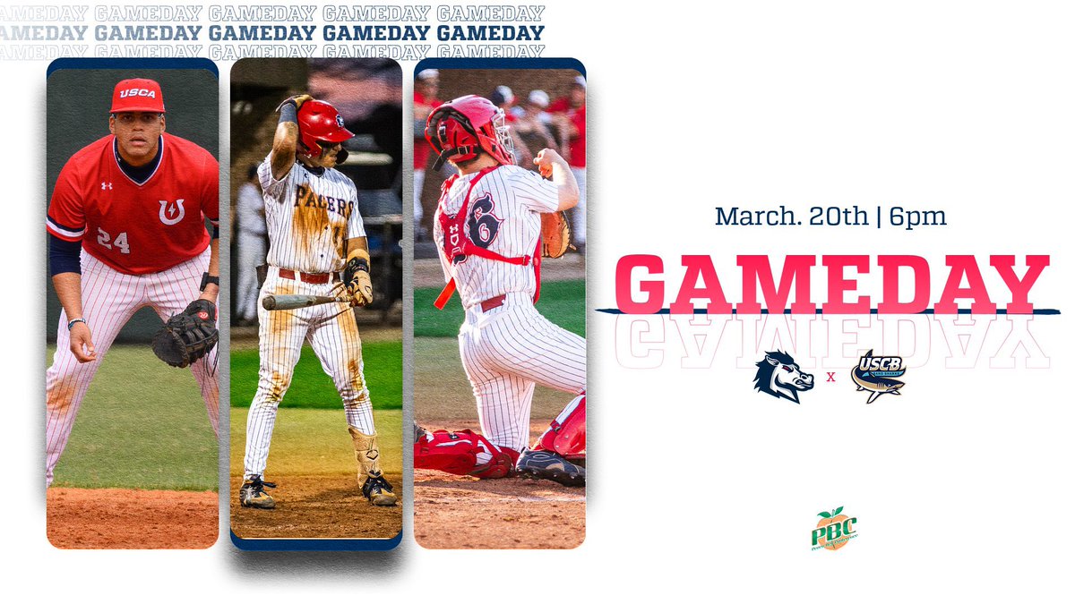 USCA Baseball tweet media