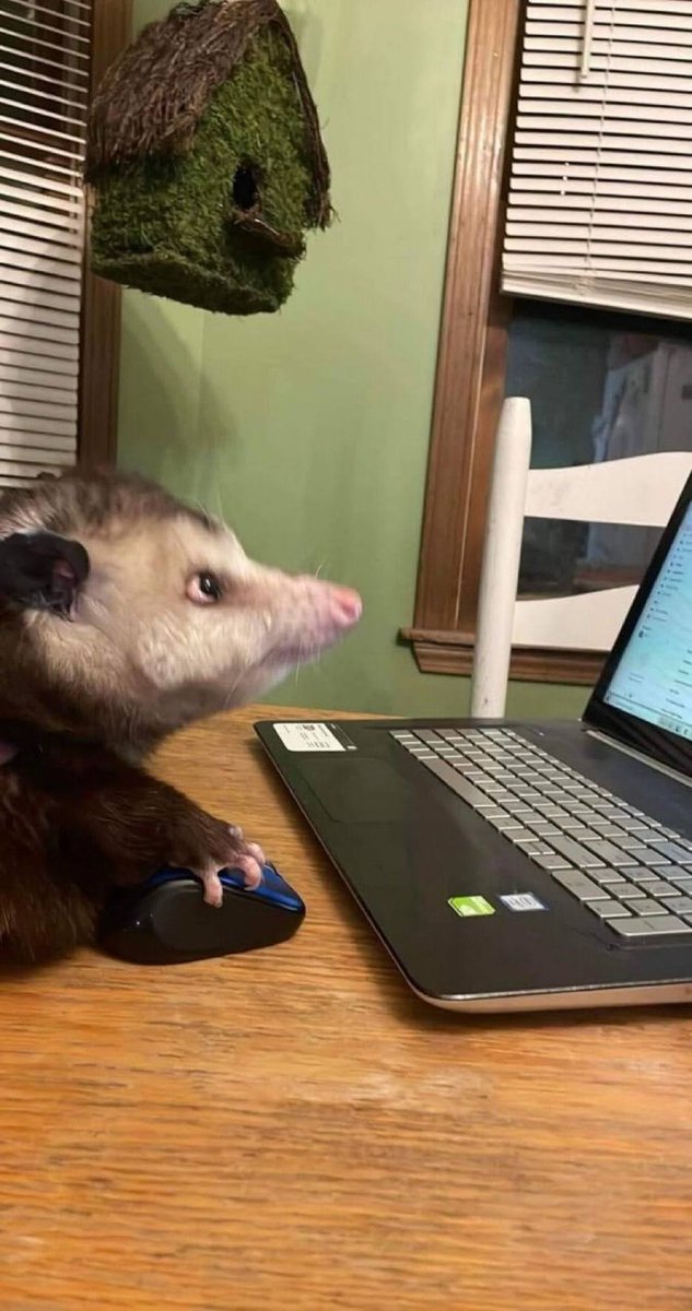 ₭Ɽ₳₮₮QɄ₳₭ł₦ł☕(B1och€m1$ch€ $€xb0mb€) tweet media