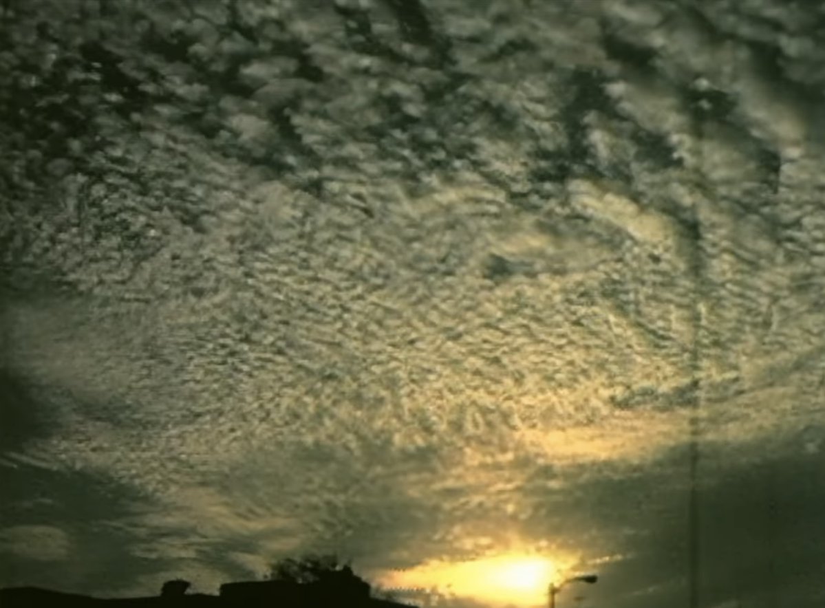 David Hering tweet media