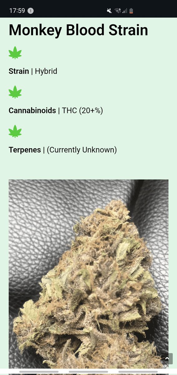 UG| Ghost 👻 tweet media