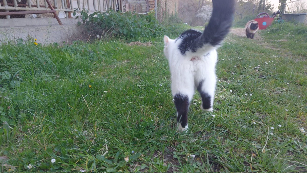 Armance64🩺🐊 tweet media