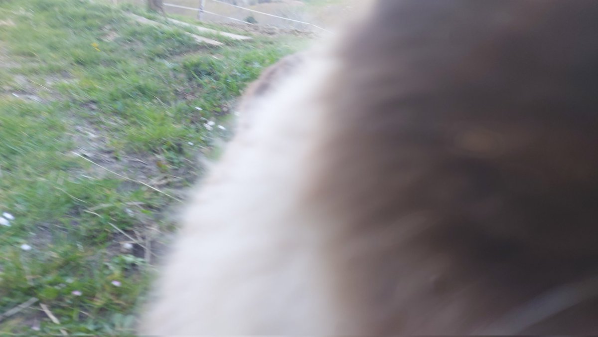 Armance64🩺🐊 tweet media