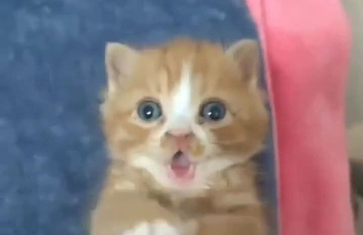 ★ RubyMarine ★ tweet media