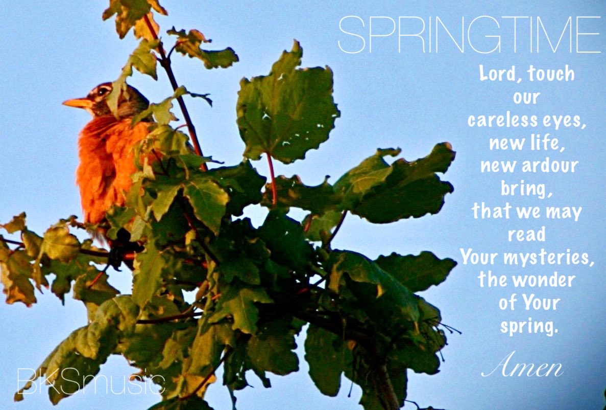 Kathy J Snow tweet media