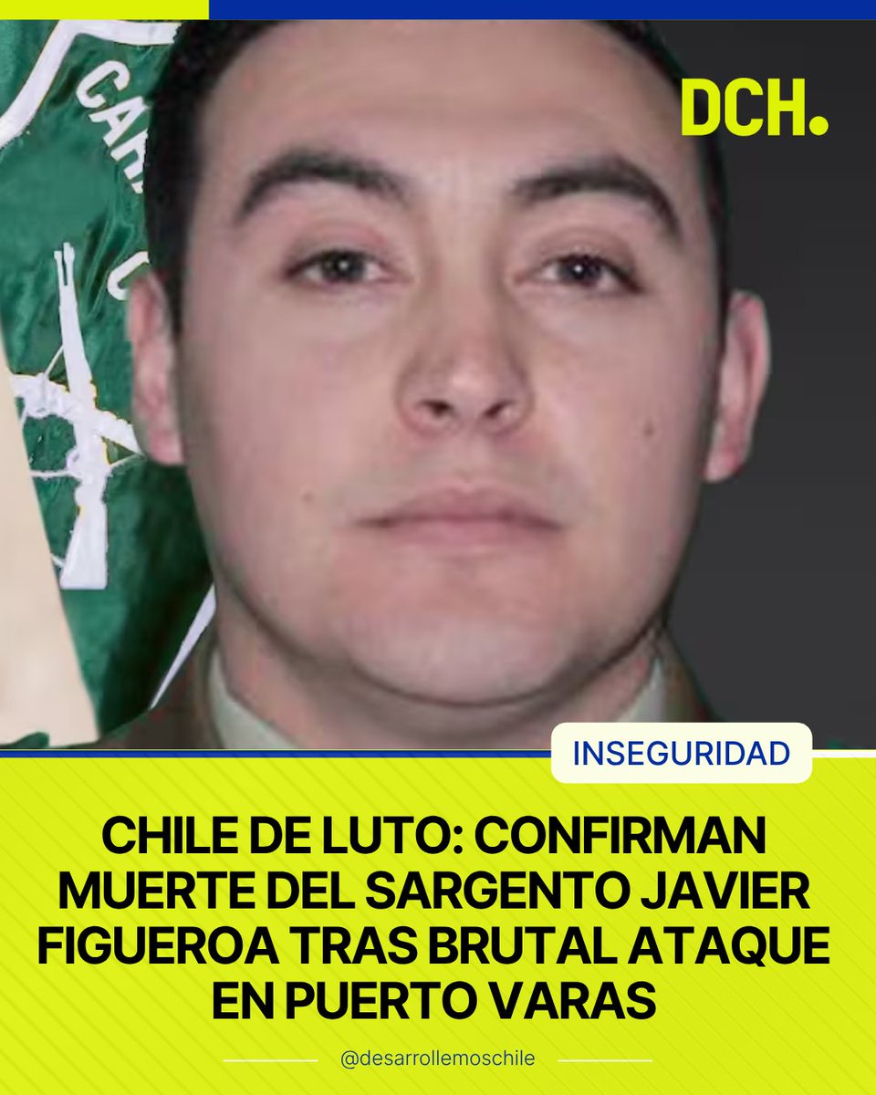 Desarrollemos Chile tweet media