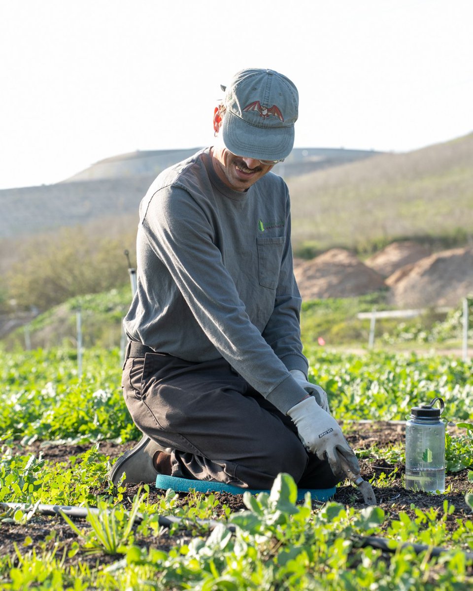 IRNLandmarks's tweet photo. Join us for Growing Together and spend time behind the scenes helping harvest seeds, plant native species and care for the plants that support habitat restoration across the Landmarks. 🌱🌼

Secure your spot now at https://t.co/pFCXPsNxJG https://t.co/Ln7CFGq1xW