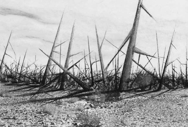 Jake Landau (He/Him) 🇨🇦🇵🇸🇻🇪🇺🇦 tweet media