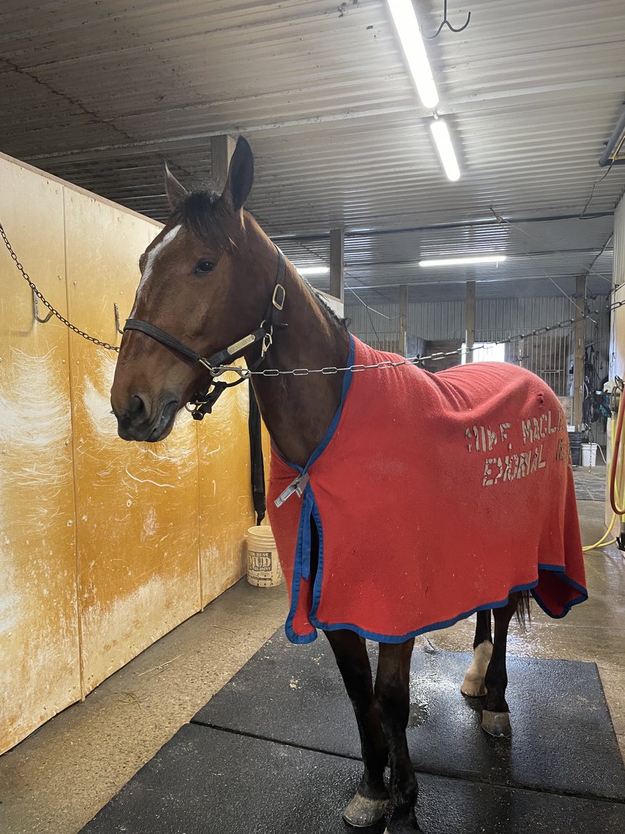 Renata Lumsden tweet media