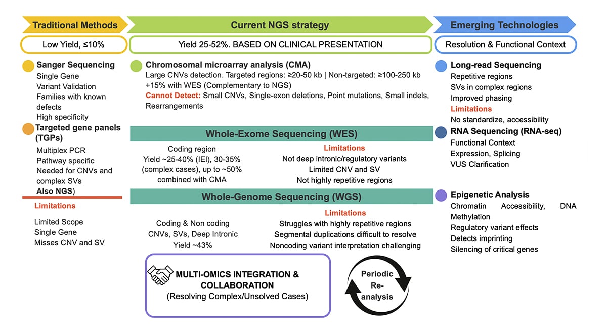 Journal of Human Immunity tweet media