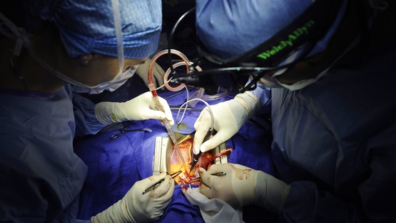 Jeff Jacoby tweet media