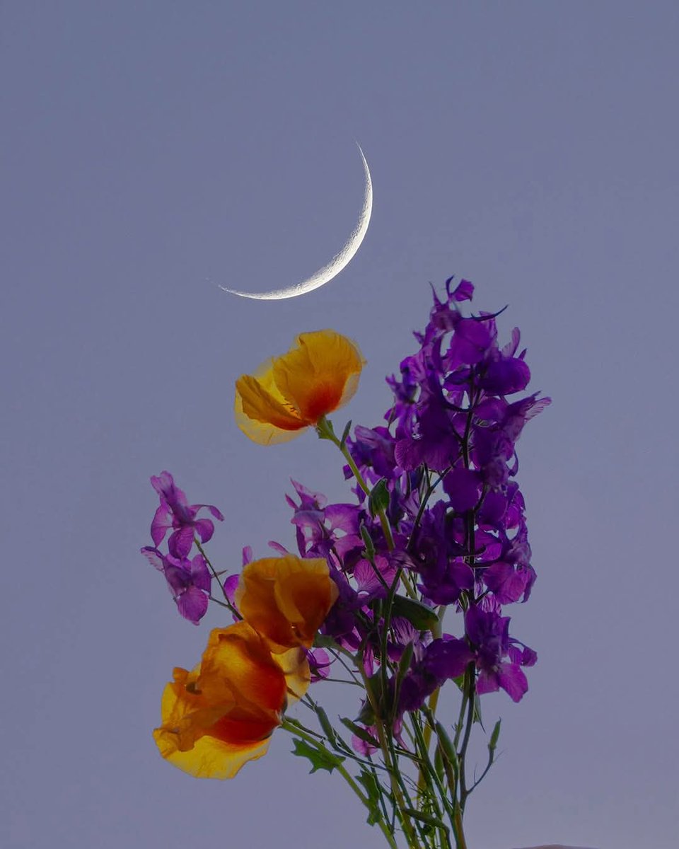 Sonia Álvaro tweet media