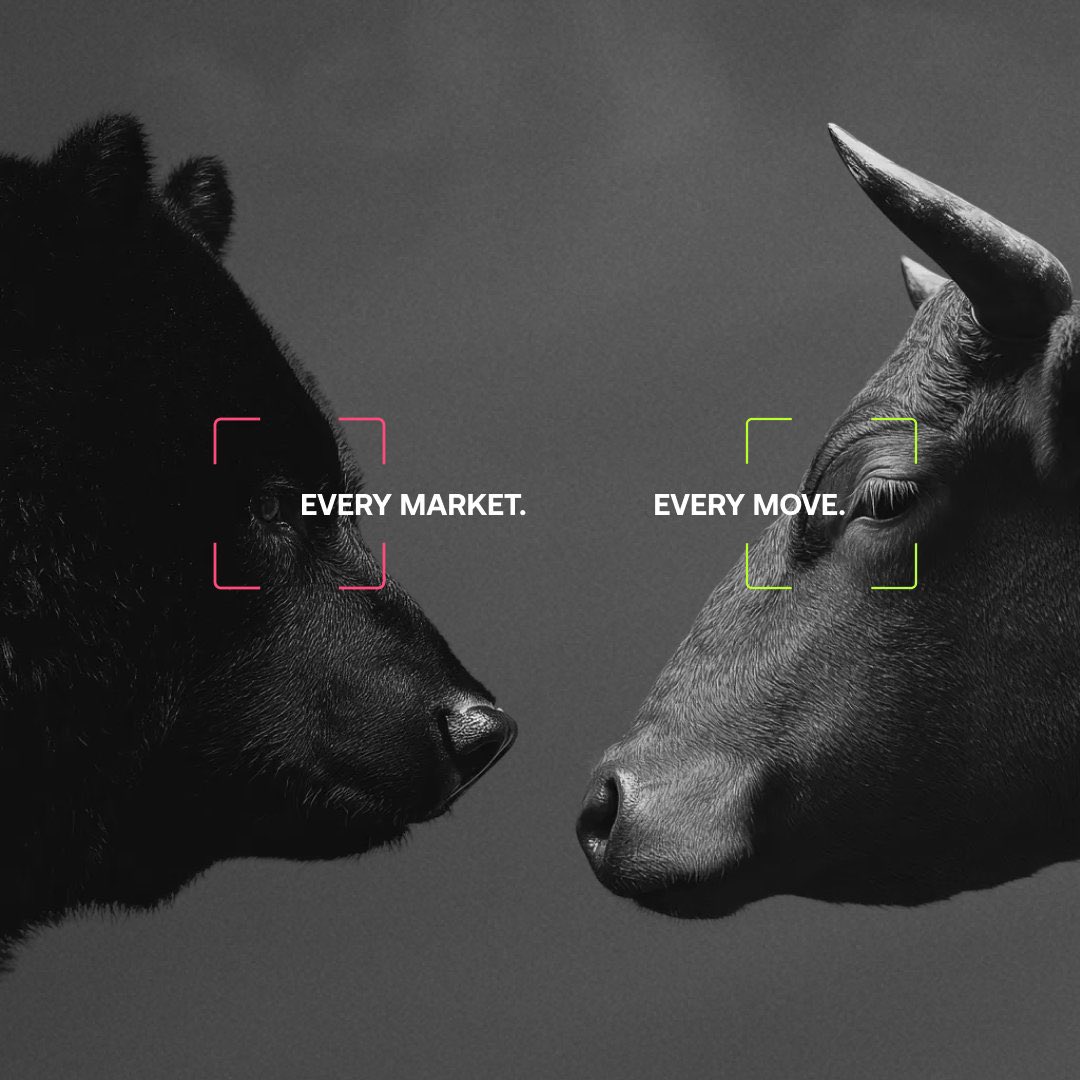 SHARK 🦈 tweet media