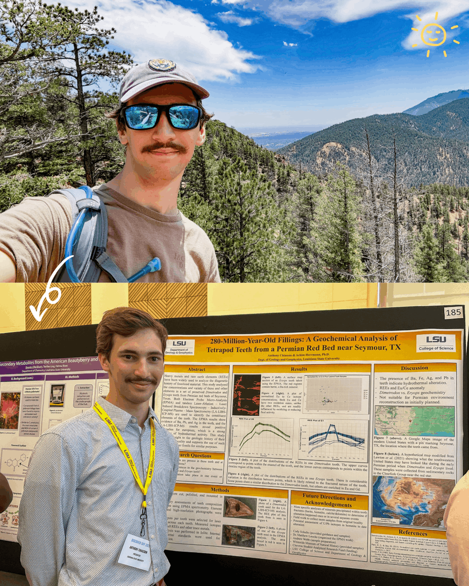 LSU College of Science tweet media