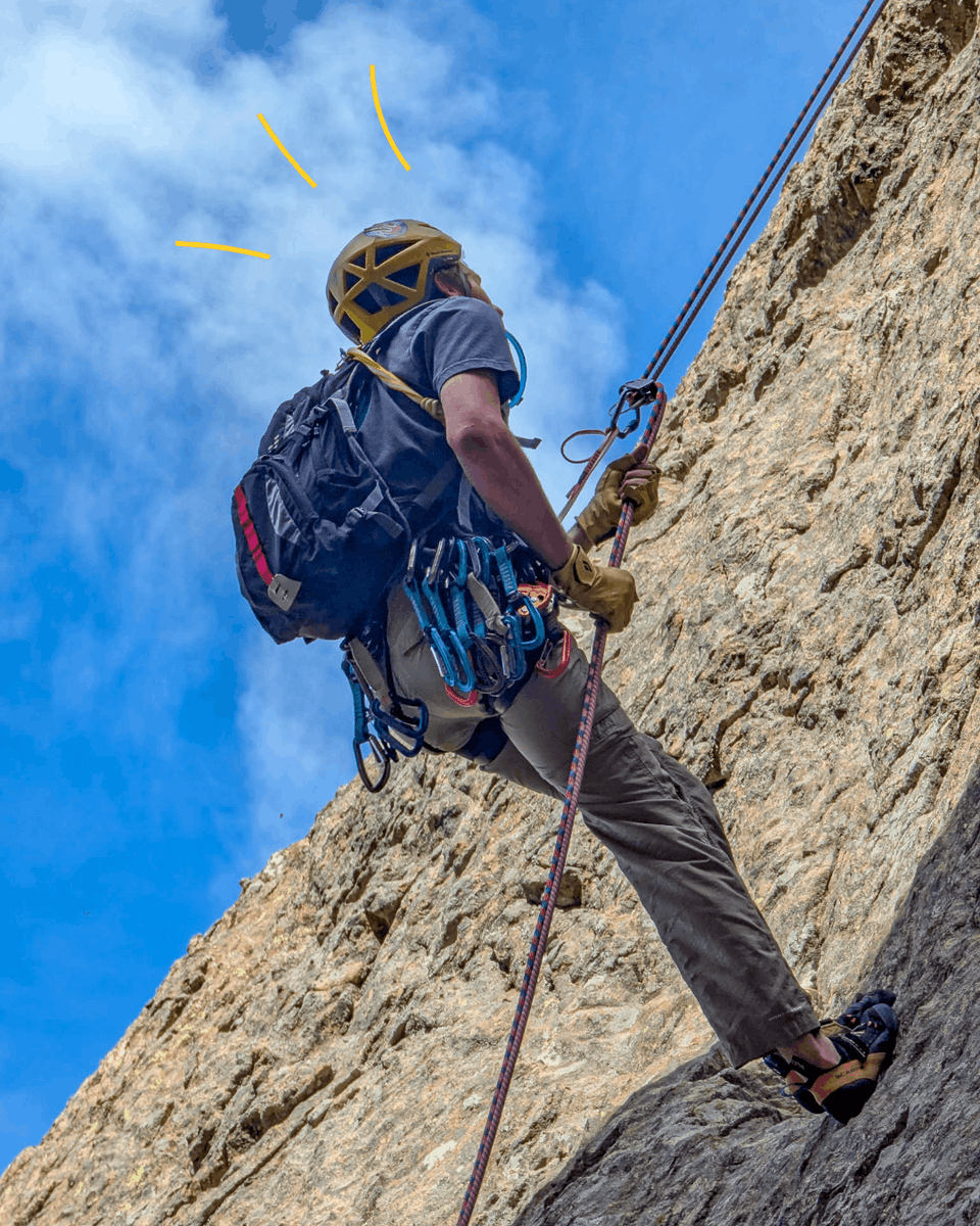 LSU College of Science tweet media