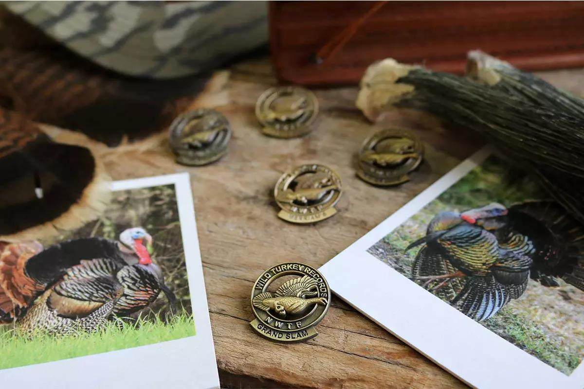 Outdoor Channel tweet media