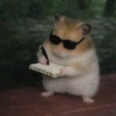 Sir Yoppy📊 tweet media