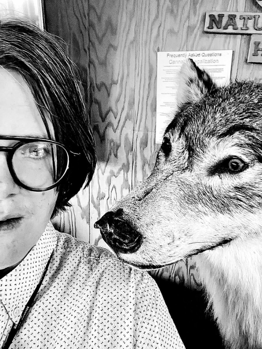 staticradio tweet media