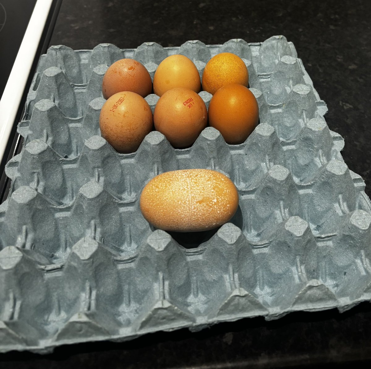 ℝ𝕚𝕡𝕡𝕖𝕣 tweet media