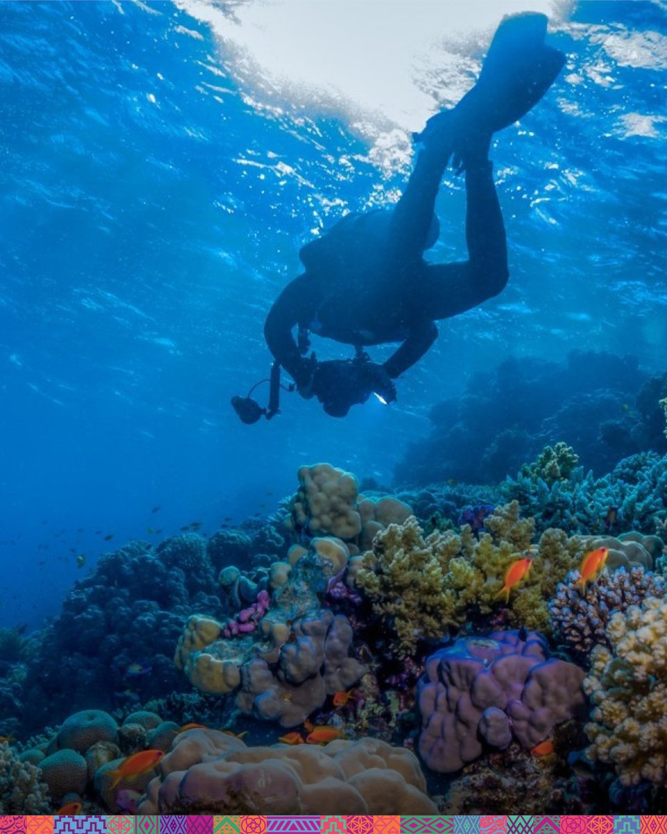 Visit Saudi tweet media