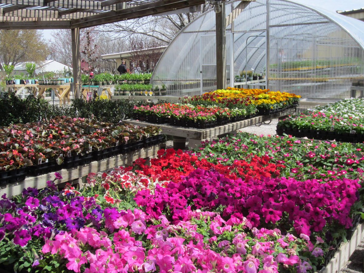 Visit Wichita tweet media