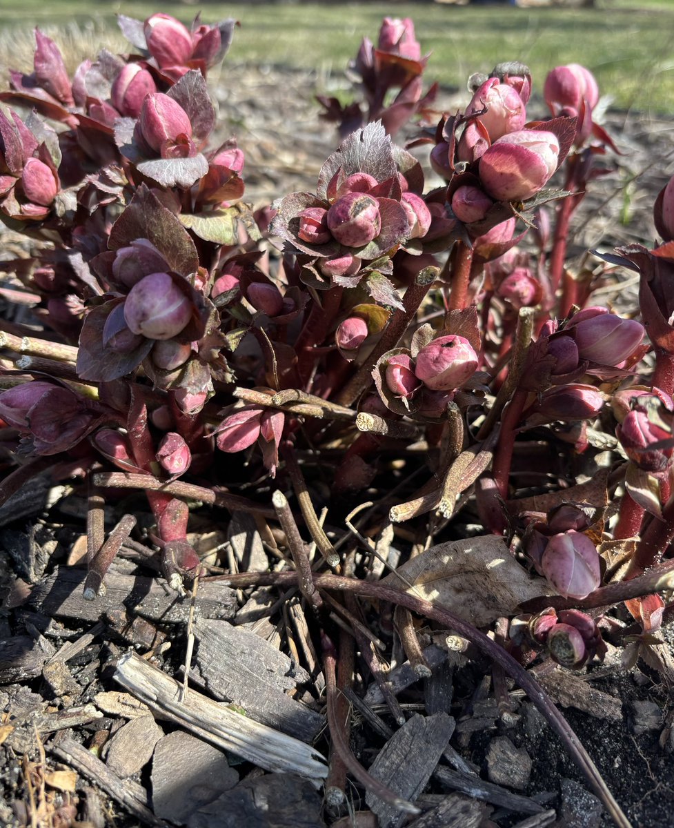 John Hogan tweet media