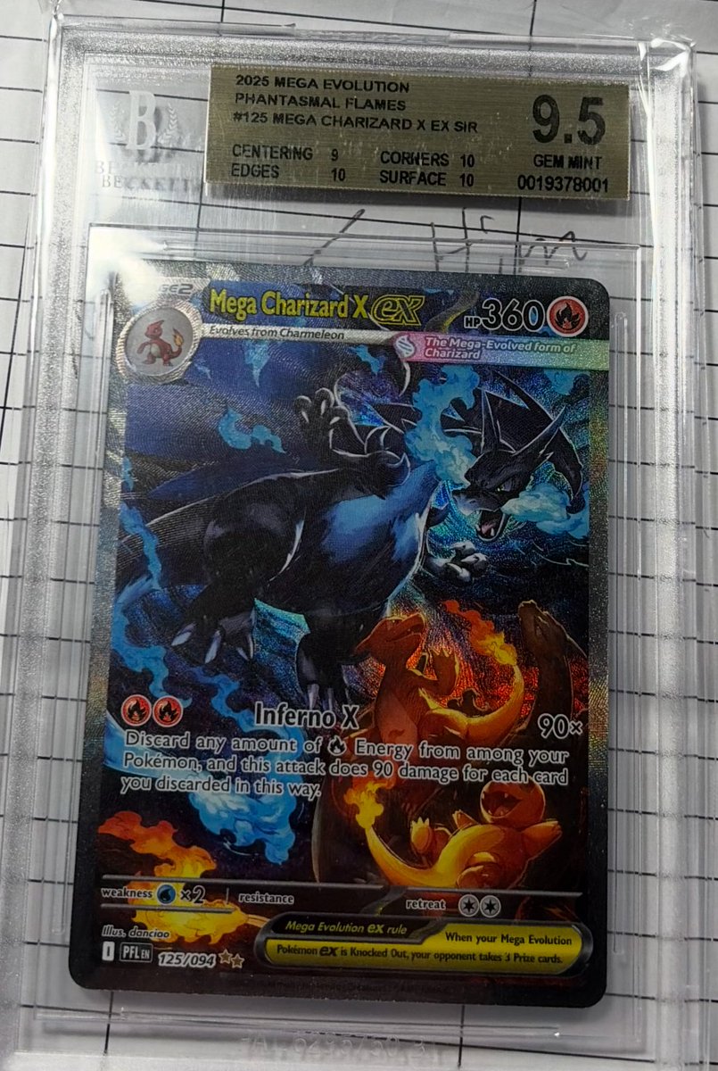 Catskill Collections TCG tweet media