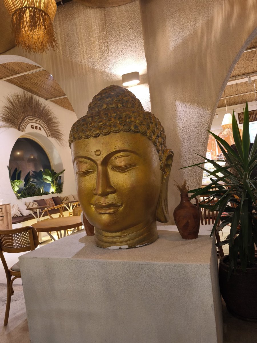 Alpharabyus tweet media