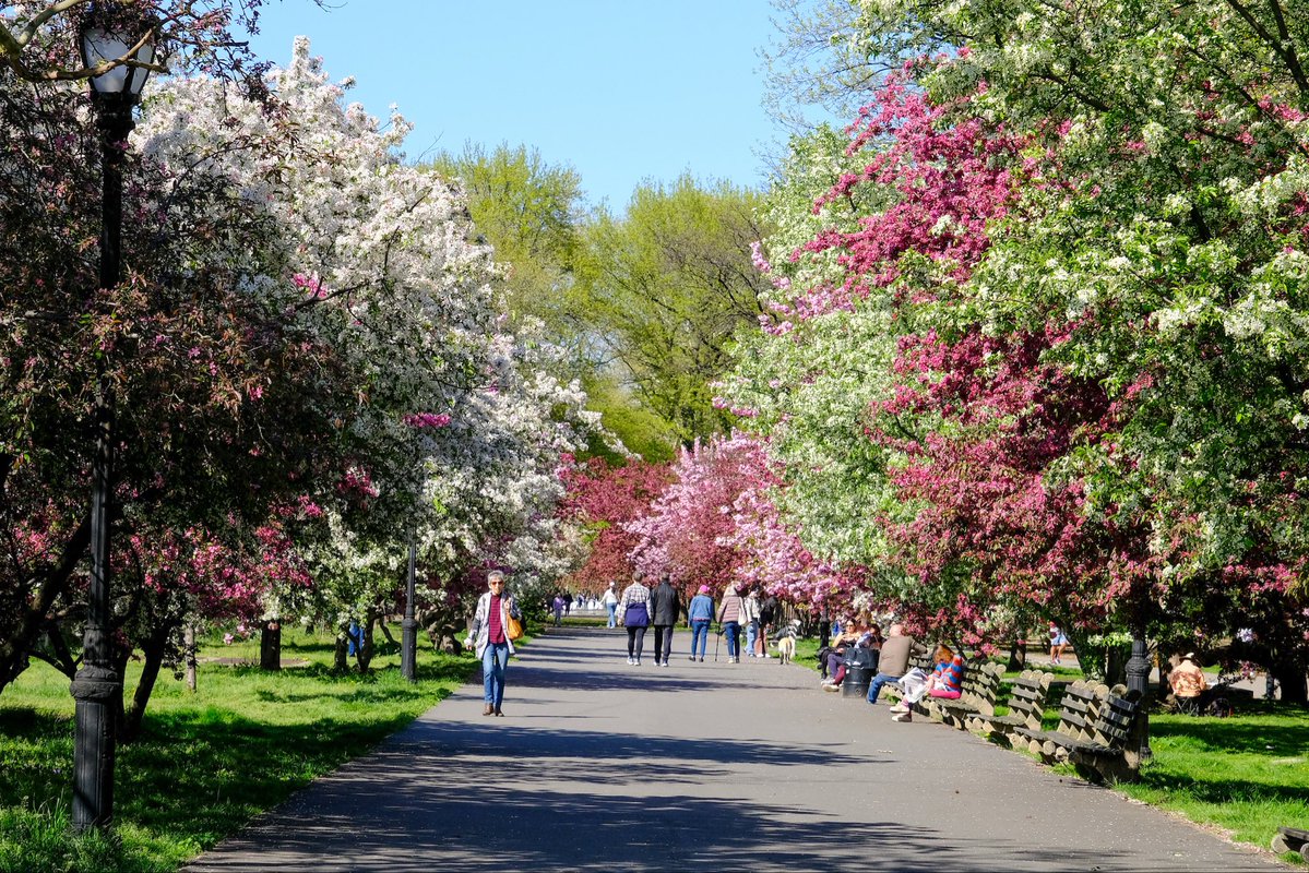 NYC Parks tweet media