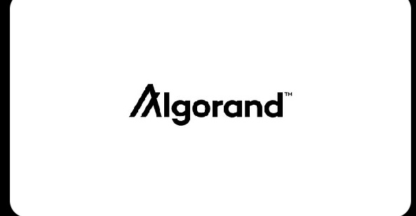 Defi Runner tweet media