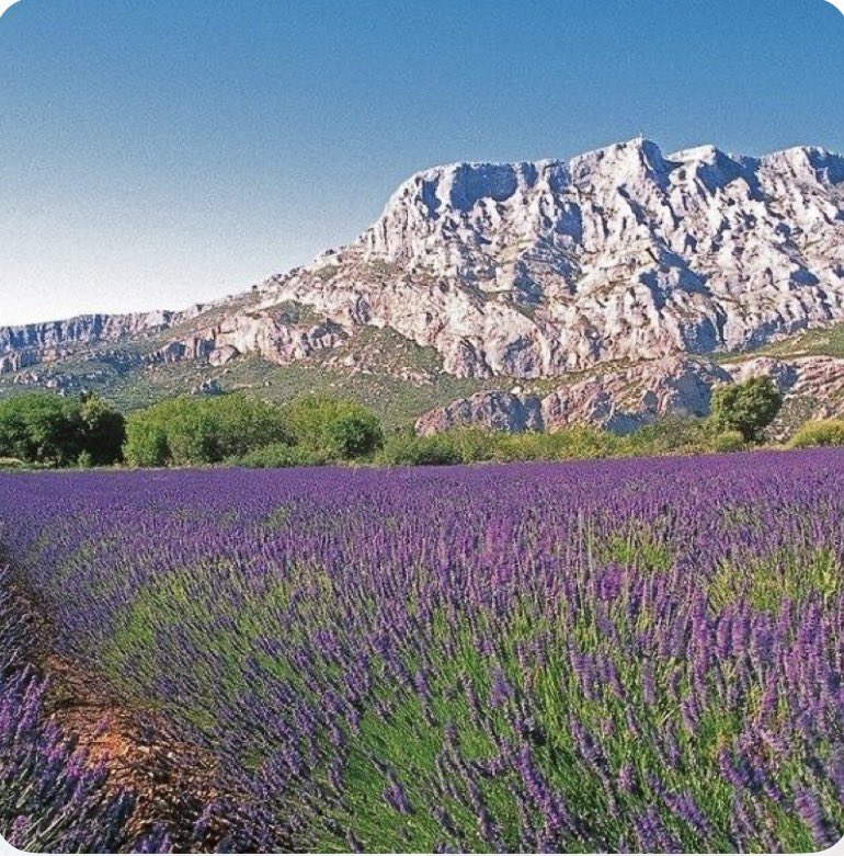 Alexandre Blaineau tweet media