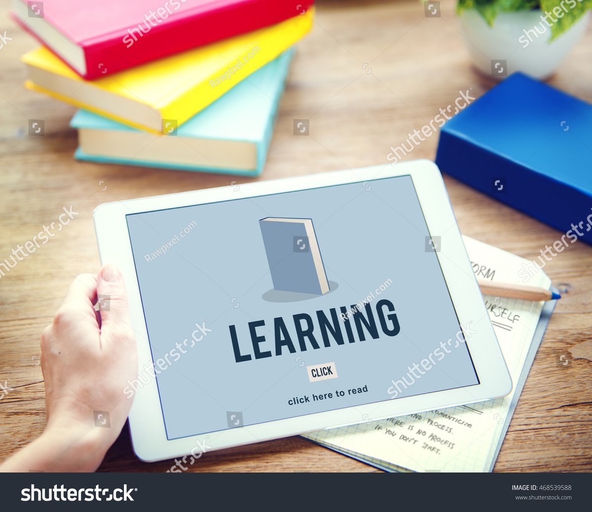 anna bellezzi tweet media