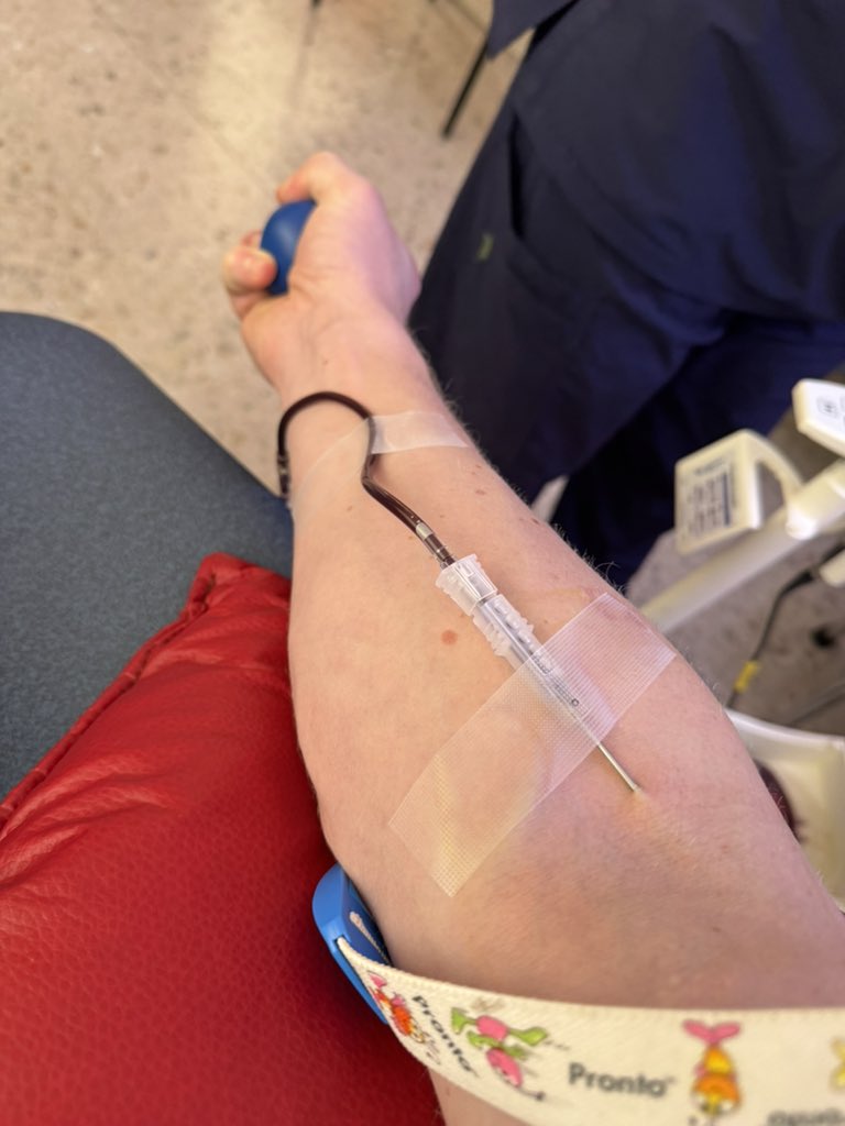 Trevor Abroad tweet media