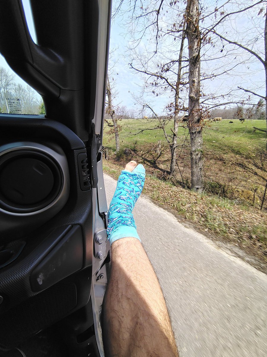 The F**K 📴 Pickle tweet media