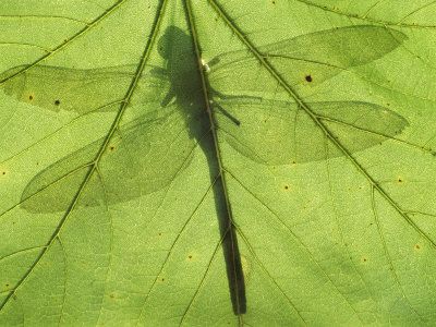 𓍊˖ ࣪⊹ tweet media