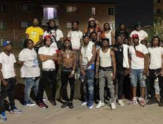 Max Turner tweet media