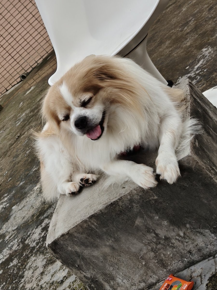 Kevin Fields tweet media