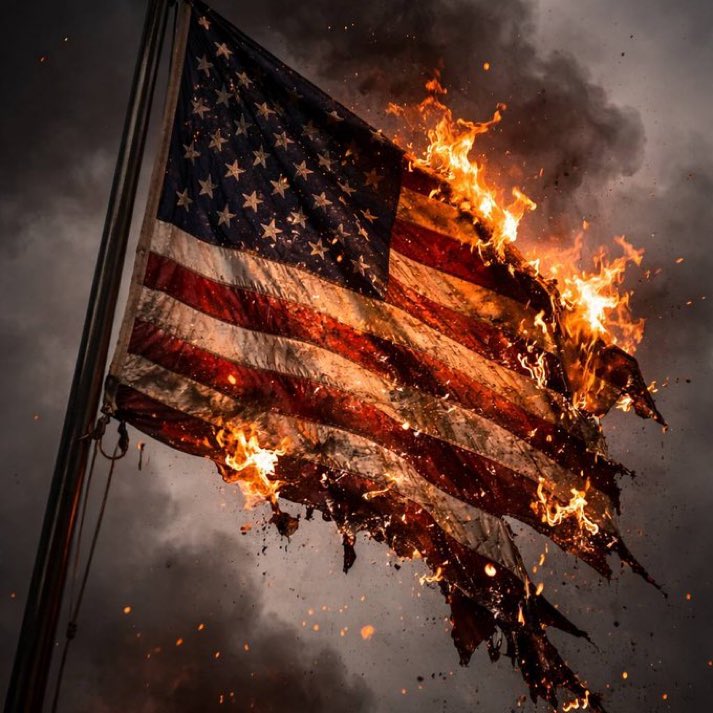 David Lavi Mattan tweet media