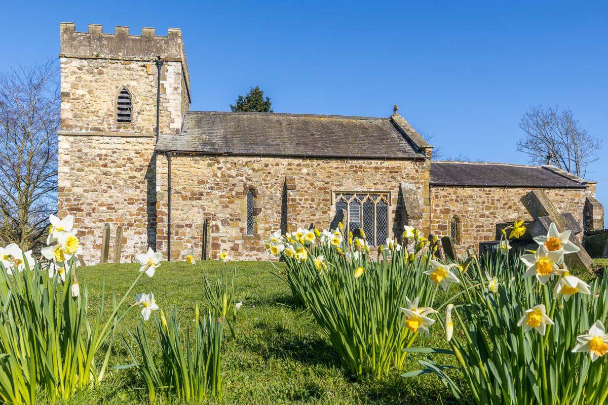 Andrew Locking tweet media