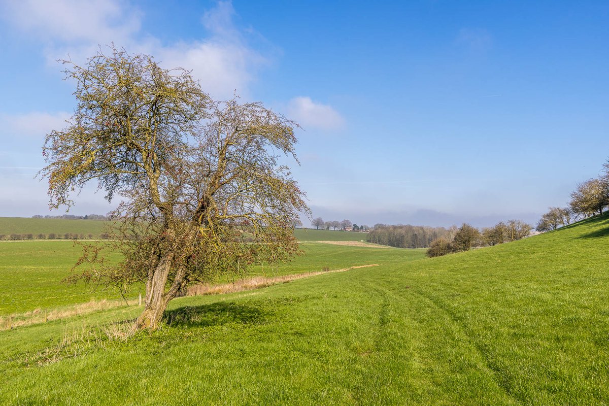 Andrew Locking tweet media