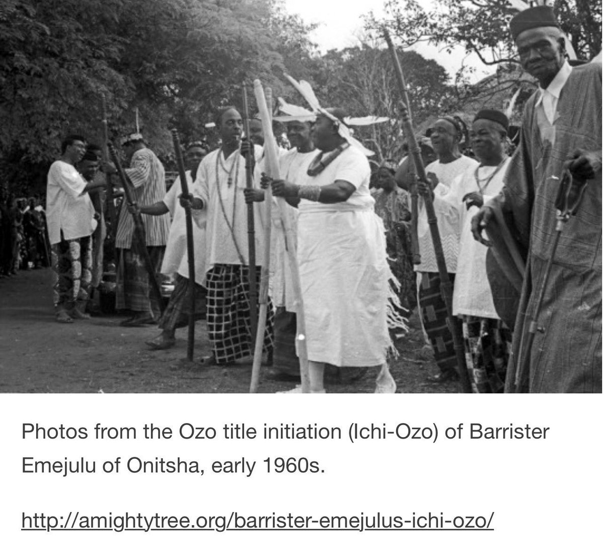 ELECTRONIC ZEPHYR⚡️ tweet media