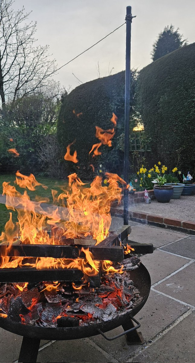 Anita💚✨️ tweet media