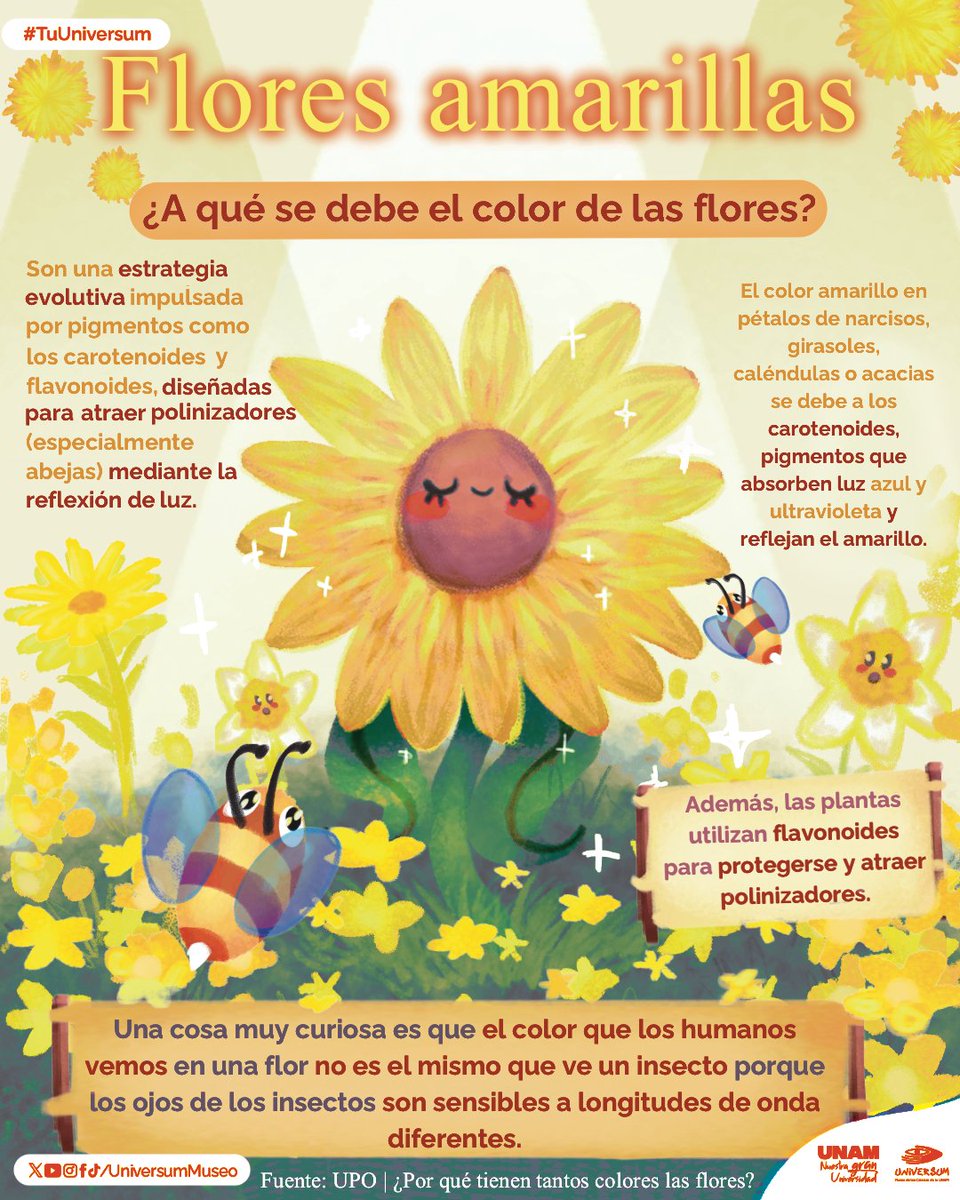 Universum Museo tweet media