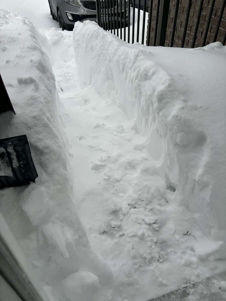 Pattern ⚕ tweet media