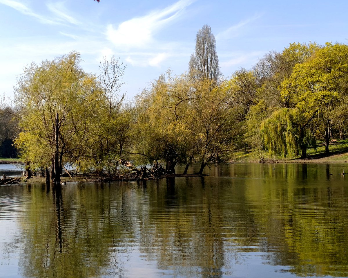 ariel STRABONI tweet media