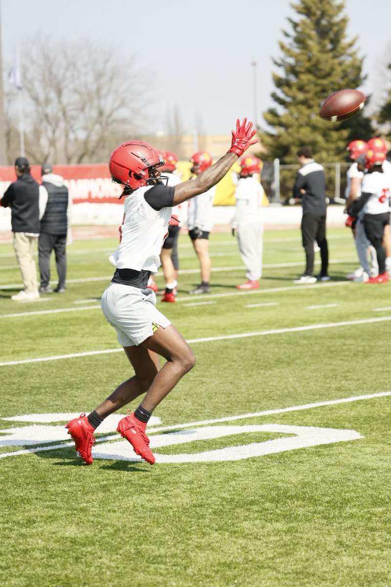 Ferris St. Football tweet media