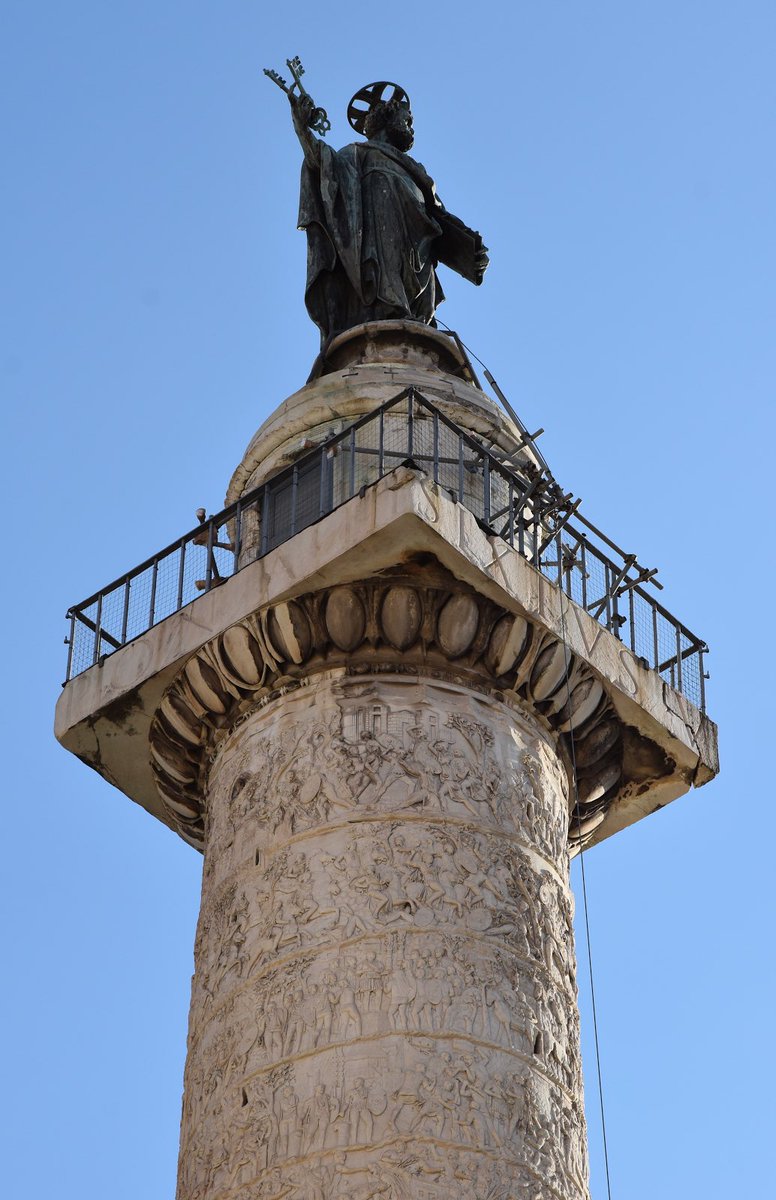 Longhorn Sloth tweet media